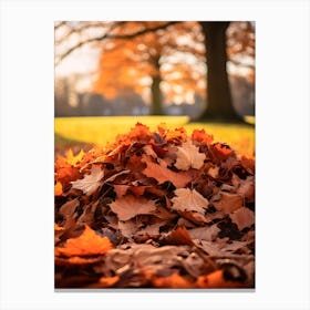 Pile of Autumn Leaves 2 Canvas Print