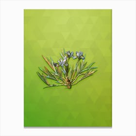 Vintage Dwarf Crested Iris Botanical Art on Love Bird Green n.0565 Canvas Print