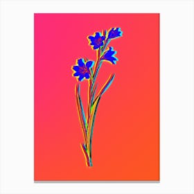 Neon Painted Lady Botanical in Hot Pink and Electric Blue n.0131 Canvas Print