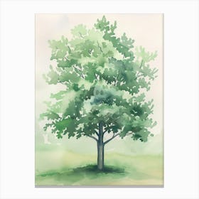 Boxwood Tree Atmospheric Watercolour Painting 4 Canvas Print