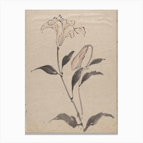 Flower, Album Of Sketches By Katsushika Hokusai And His Disciples, Katsushika Hokusai Canvas Print
