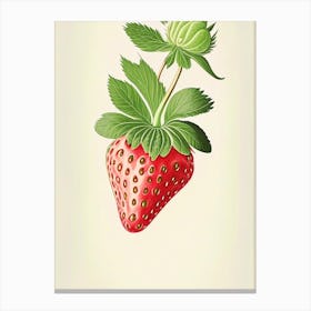 Strawberry Plant,, Fruit, Marker Art Illustration 2 Canvas Print