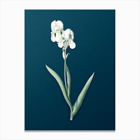 Vintage Tall Bearded Iris Botanical Art on Teal Blue n.0400 Canvas Print