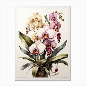 Orchids Flower Illustration Art Print 1 Canvas Print