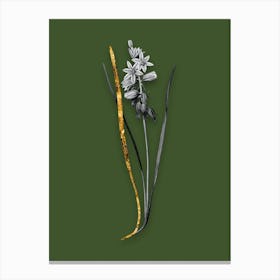 Vintage Drooping StarofBethlehem Black and White Gold Leaf Floral Art on Olive Green n.0600 Canvas Print