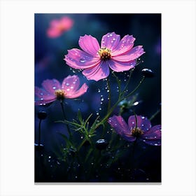 Cosmos Wildflower At Dawn In South Western Style (2) Canvas Print