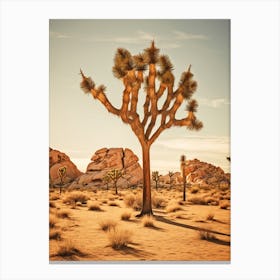  Photograph Of A Joshua Trees In Mojave Desert 3 Canvas Print