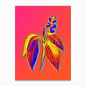 Neon Malabar Nut Botanical in Hot Pink and Electric Blue n.0323 Canvas Print