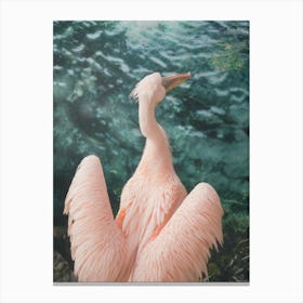 A Pink Pelican By The Emerald Color Water Canvas Print