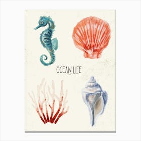 Ocean Life Canvas Print