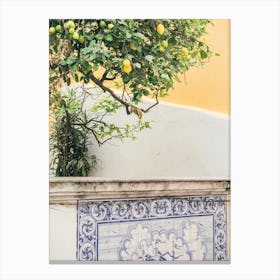 Lemon Tree And Lisbon Tiles Canvas Print