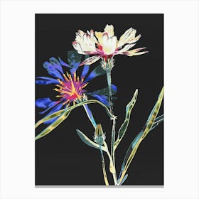 Neon Flowers On Black Cornflower 3 Canvas Print