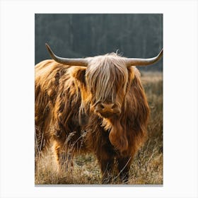 Highland Cow in the field | colorful travel photography 3 Canvas Print