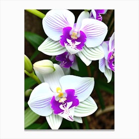 Orchids 8 Canvas Print