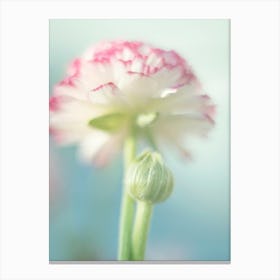 Spring Flower - Pastel Floral Photography Canvas Print