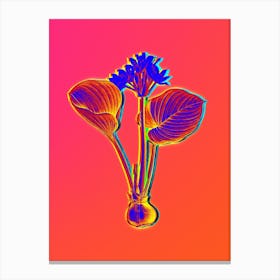 Neon Cardwell Lily Botanical in Hot Pink and Electric Blue n.0507 Canvas Print