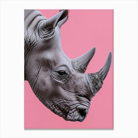 Rhino On Pink Background 5 Canvas Print