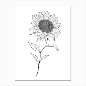 Sunflower Illustration Canvas Print