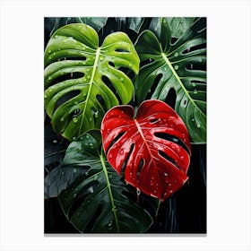 Monstera Leaves 1 Canvas Print