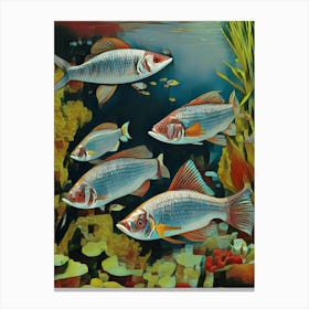 Funny Portrait Of Five Sardines Canvas Print