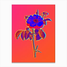 Neon Speckled Provins Rose Botanical in Hot Pink and Electric Blue n.0514 Canvas Print