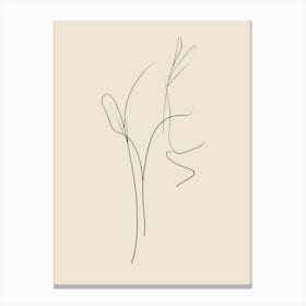 Drawing Of A Flower 3 Canvas Print