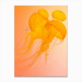 Jellyfish Canvas Print