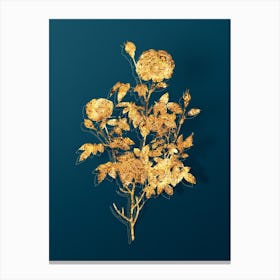Vintage Burgundy Cabbage Rose Botanical in Gold on Teal Blue Canvas Print