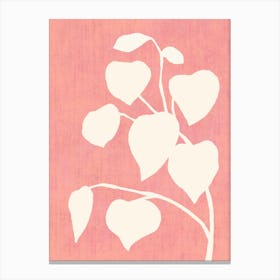 Botanic Shade Leaf Plants Minimalist Monochromatic - Pink White Canvas Print