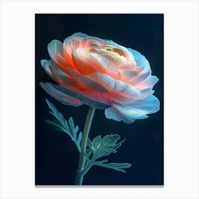 Pink Peony Canvas Print