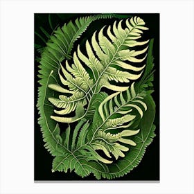 Southern Shield Fern Vintage Botanical Poster Canvas Print