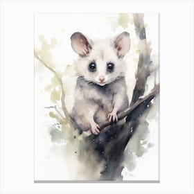 Light Watercolor Painting Of A Nocturnal Possum 4 Canvas Print