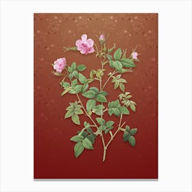 Vintage Pink Flowering Rosebush Botanical on Falu Red Pattern n.0478 Canvas Print