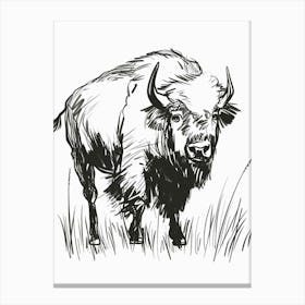 B&W Bison Canvas Print