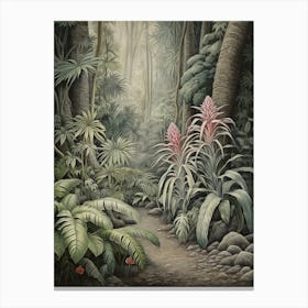 Vintage Jungle Botanical Illustration Bromeliads 4 Canvas Print