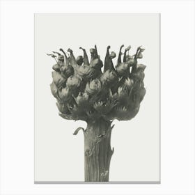 Artichoke Canvas Print