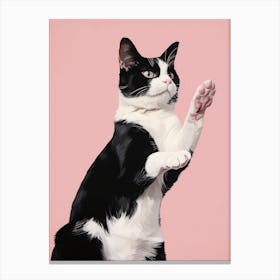 Paws Up Canvas Print