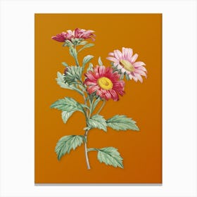 Vintage Red Aster Flowers Botanical on Sunset Orange n.0341 Canvas Print