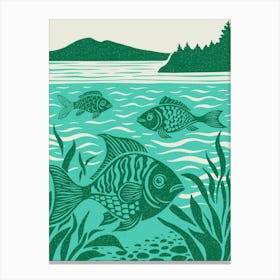 Lake Fish Canvas Print