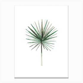 Simple Palm Leaf Canvas Print