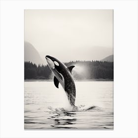 Realistic Black & White Photography Of Orca Whale Diving Out Of Ocean 2 Canvas Print