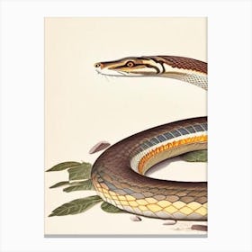Coastal Taipan Snake Vintage Canvas Print