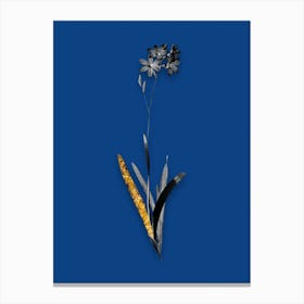 Vintage Corn Lily Black and White Gold Leaf Floral Art on Midnight Blue n.0296 Canvas Print