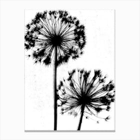 White black Dandelion Canvas Print