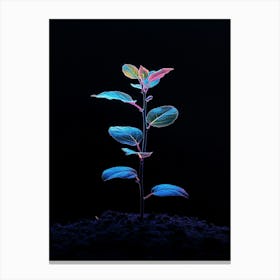 Neon Plant Growing In The Dark 1 Canvas Print