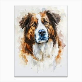 Australian Shepherd Dog Watercolor Painting 6 Canvas Print