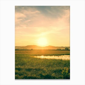 Sunset Over A Field Canvas Print