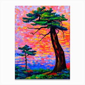 Japanese Red Pine Tree Cubist Canvas Print