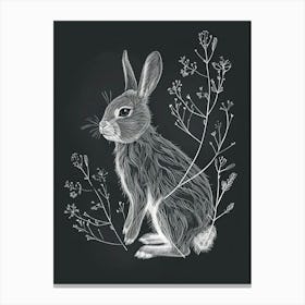 Chinchilla Rabbit Minimalist Illustration 1 Canvas Print