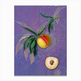 Vintage Peach Botanical Illustration on Veri Peri n.0161 Canvas Print